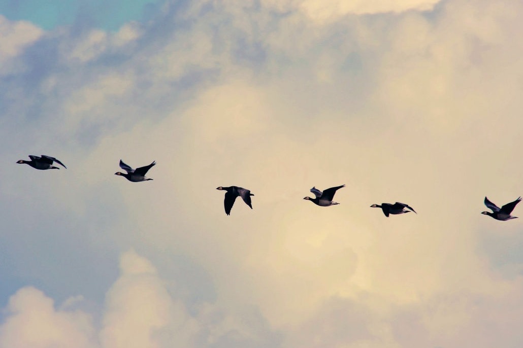 SAP IdM migration